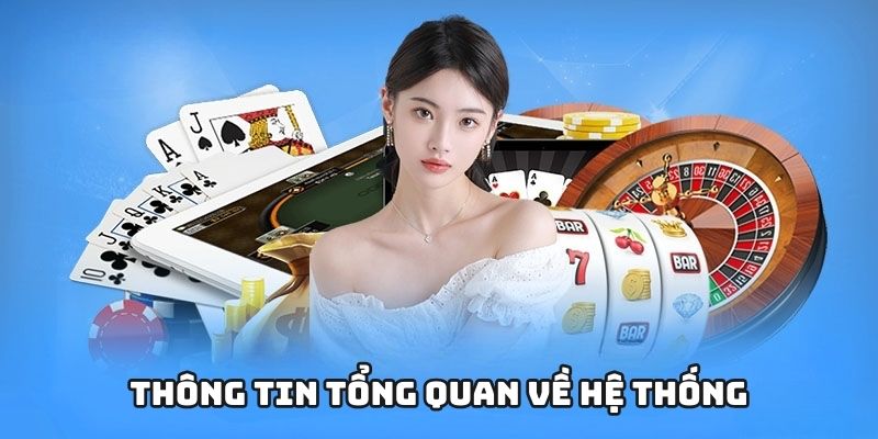 Thông tin tổng quan về hệ thống