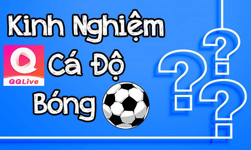 kinh nghiệm cá cược bóng đá qqlive