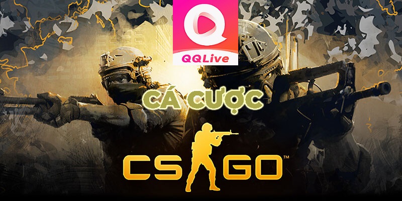cá cược CSGO QQLive