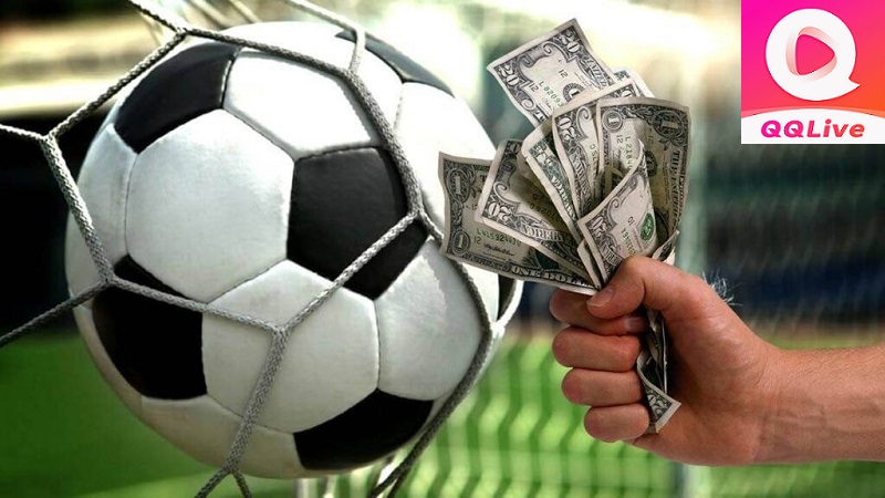 cá độ bóng đá