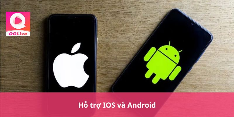 Hỗ trợ IOS và Android
