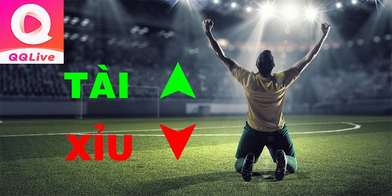 đặt cược tài xỉu