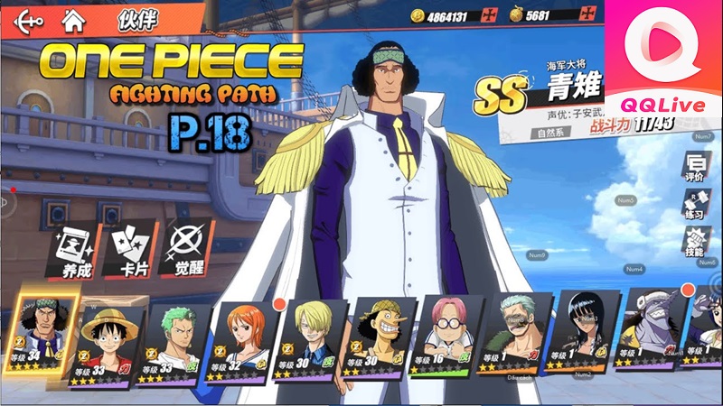 game One Piece New World