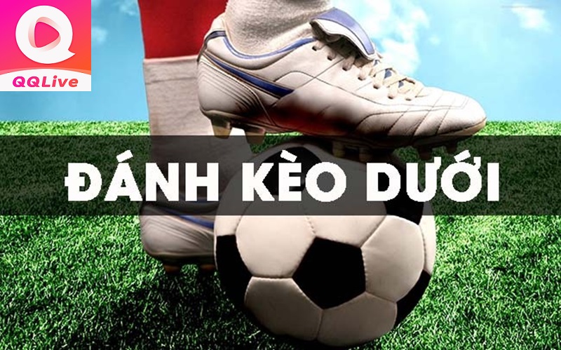đánh kèo dưới qqlive