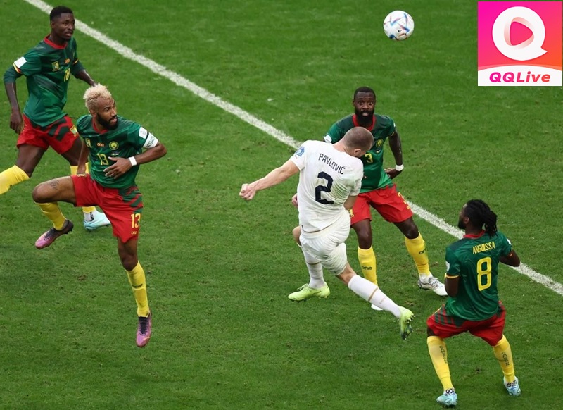 chơi Kèo score box QQlive