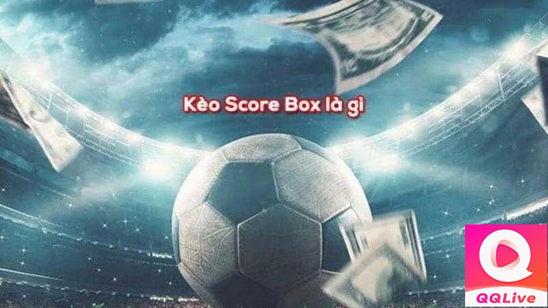Kèo score box QQlive