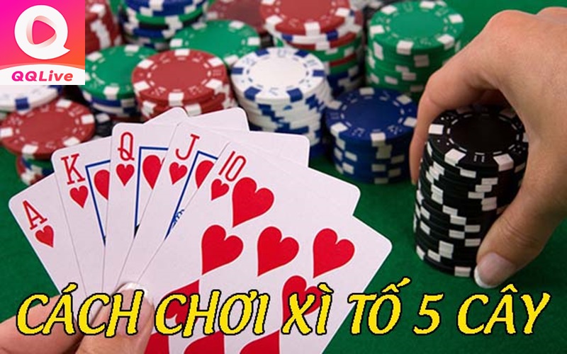 chơi xì tố 5 cây