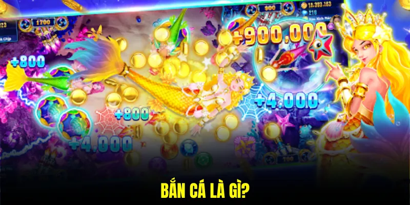 Bắn cá là gì?