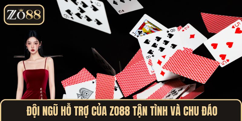 Đội ngũ hỗ trợ của ZO88 tận tình và chu đáo