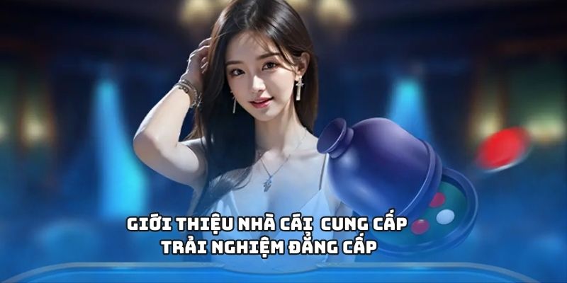 Giới thiệu nhà cái cung cấp trải nghiệm đẳng cấp
