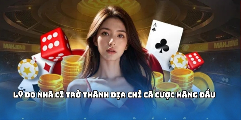 Lý do trở thành địa chỉ cá cược hàng đầu