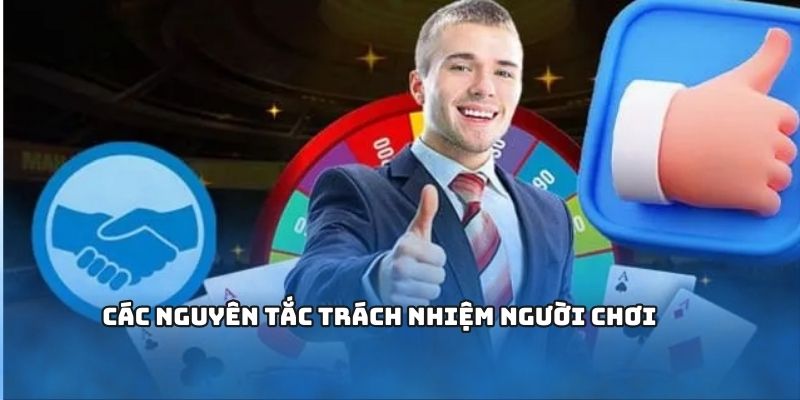 Các nguyên tắc trách nhiệm người chơi