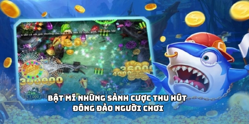 Bật mí những sảnh cược thu hút đông đảo người chơi