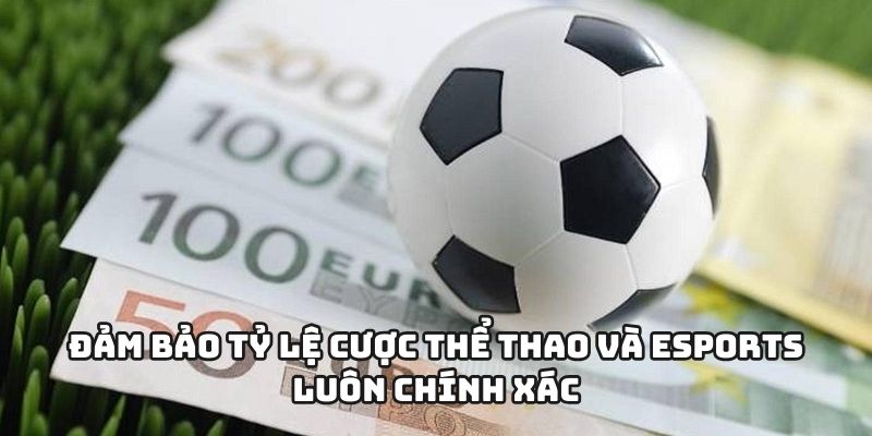 Đảm bảo tỷ lệ cược thể thao và Esports luôn chính xác