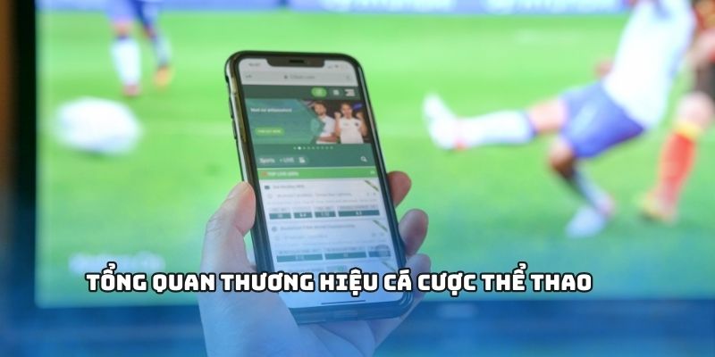 Tổng quan thương hiệu cá cược thể thao