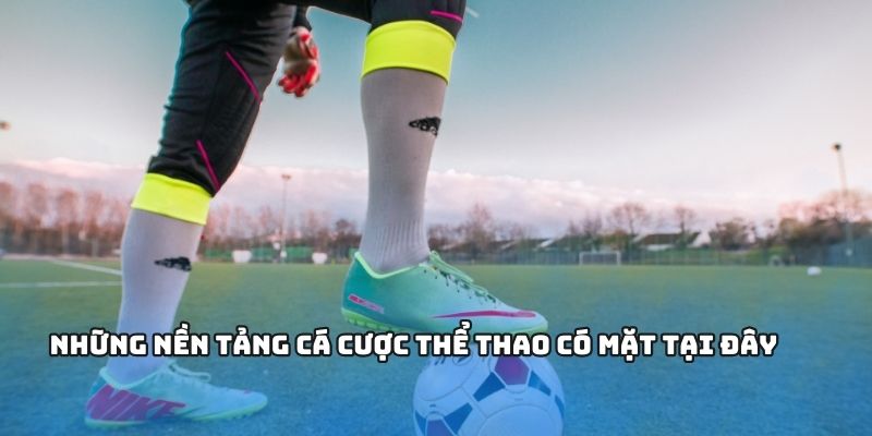 Những nền tảng cá cược thể thao có mặt tại đây