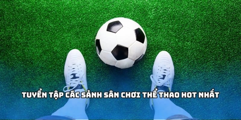 Tuyển tập các sảnh sân chơi thể thao hot nhất