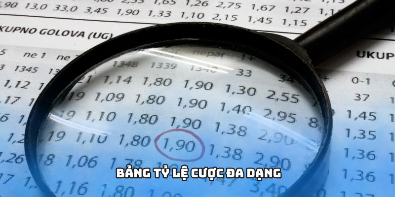 Bảng tỷ lệ cược đa dạng