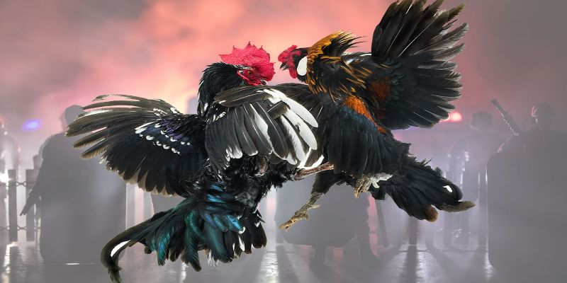 Kho tàng game chất lượng cao