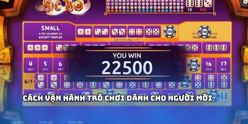 Cách vận hành trò chơi cho người mới