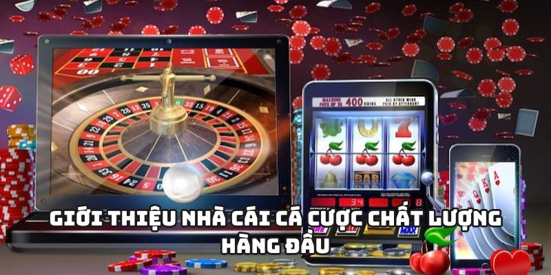 Giới thiệu đôi nét chung về nhà cái cá cược max88