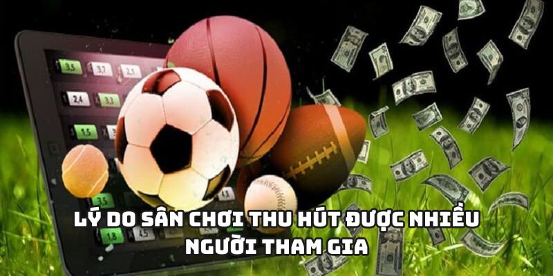 Lý do nền tảng được nhiều người chơi quan tâm