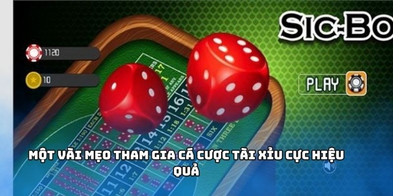 Những mẹo cơ bản giúp bạn thắng cược dễ dàng