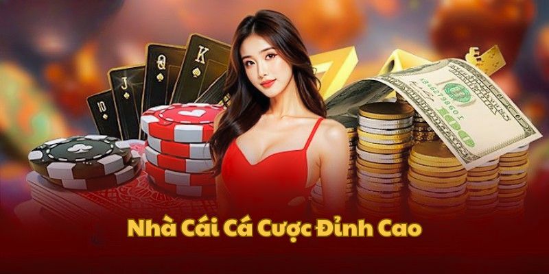 Khám phá chung về nhà cái net88