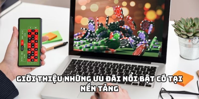 Giới thiệu những ưu đãi nổi bật có tại nền tảng
