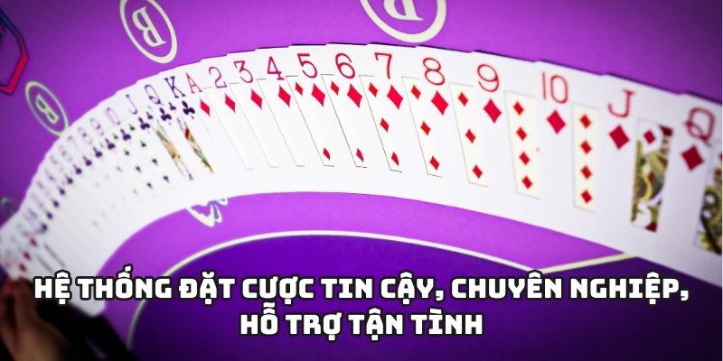 Hệ thống đặt cược tin cậy, chuyên nghiệp, hỗ trợ tận tình