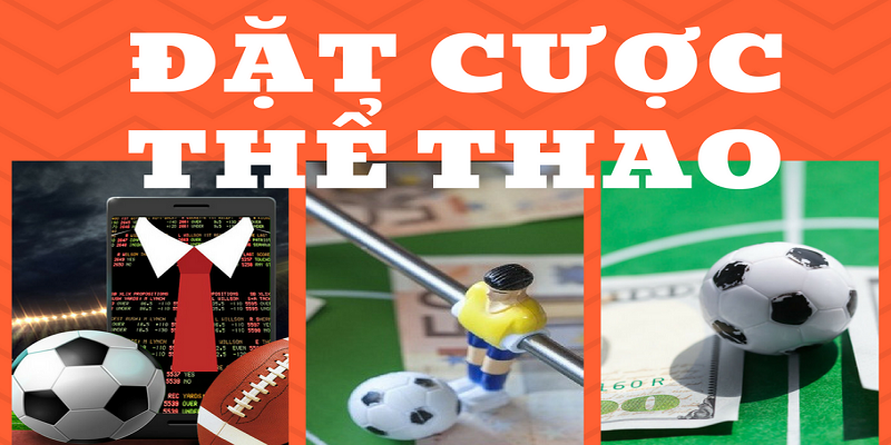 Sơ lược giới thiệu về sảnh cá cược thể thao đỉnh cao