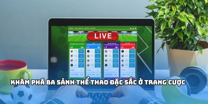 Khám phá ba sảnh thể thao đặc sắc ở trang cược