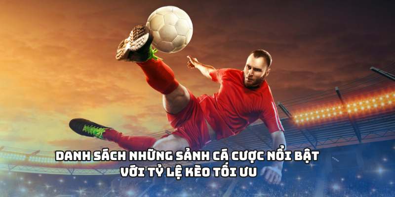 Danh sách những sảnh cá cược nổi bật với tỷ lệ kèo tối ưu