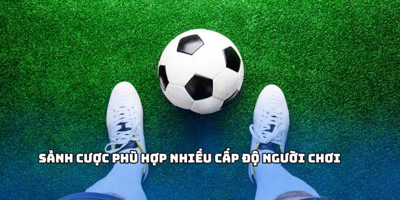 Sảnh cược phù hợp nhiều cấp độ người chơi