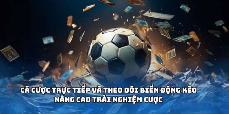 Cá cược trực tiếp và theo dõi biến động kèo nâng cao trải nghiệm cược