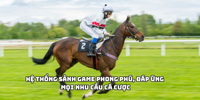 Hệ thống sảnh game phong phú, đáp ứng mọi nhu cầu cá cược