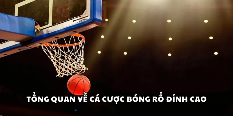 Tổng quan về cá cược bóng rổ đỉnh cao