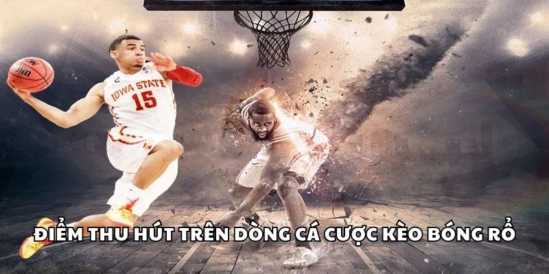 Điểm thu hút trên dòng cá cược kèo bóng rổ