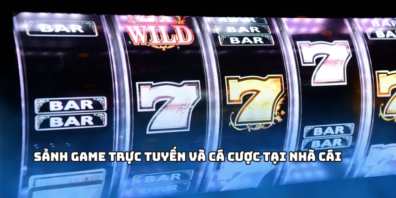 Sảnh game trực tuyến và cá cược tại nhà cái