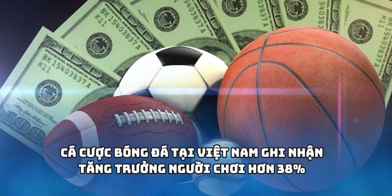 Cá cược bóng đá tại Việt Nam ghi nhận tăng trưởng người chơi hơn 38%