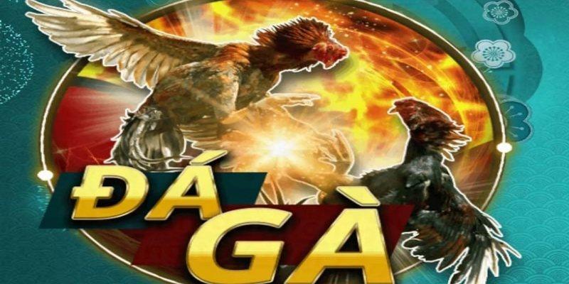 Đá gà Gemwin và những pha lật kèo đỉnh cao