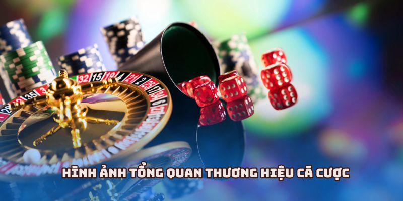 Hình ảnh tổng quan thương hiệu cá cược