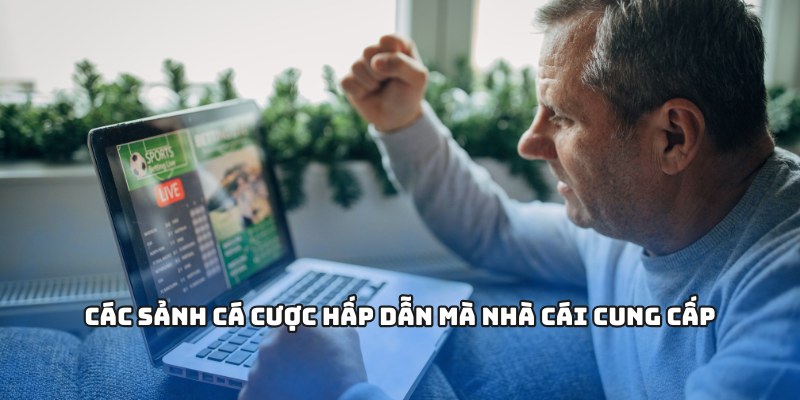 Các sảnh cá cược hấp dẫn mà nhà cái cung cấp