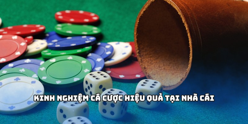 Kinh nghiệm cá cược hiệu quả tại nhà cái