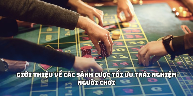 Giới thiệu về các sảnh cược tối ưu trải nghiệm người chơi