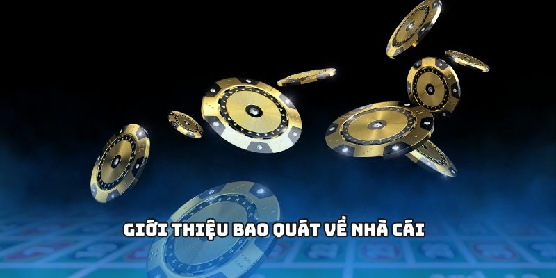 Giới thiệu bao quát về nhà cái