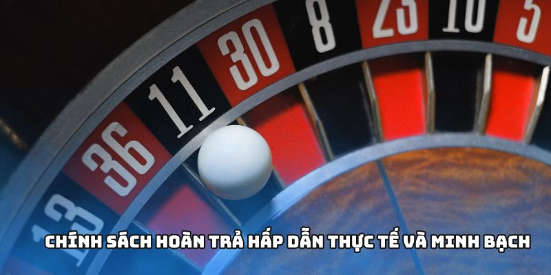 Chính sách hoàn trả hấp dẫn thực tế và minh bạch