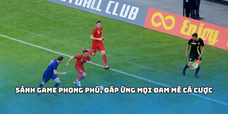 Những sảnh thể thao tích hợp kèo bóng đá châu Âu và châu Á