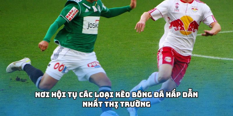 Nơi hội tụ các loại kèo bóng đá hấp dẫn nhất thị trường