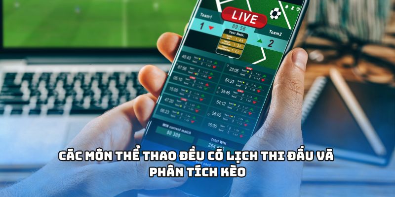 Các môn thể thao đều có lịch thi đấu và phân tích kèo